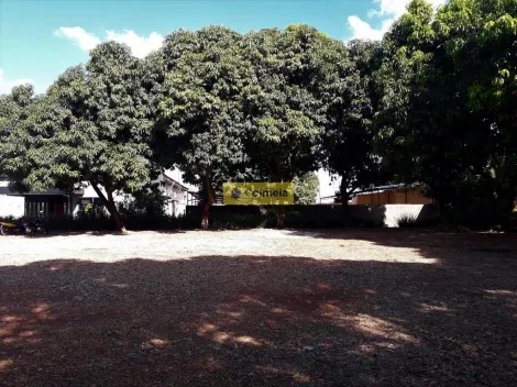 imagem 2 - TERRENO PARA ALUGAR EM DOURADOS/MS imagem 2 - TERRENO PARA ALUGAR EM DOURADOS/MS