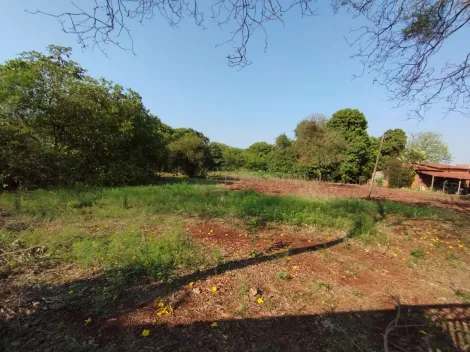 imagem 1 - TERRENO PARA ALUGAR EM DOURADOS/MS imagem 1 - TERRENO PARA ALUGAR EM DOURADOS/MS