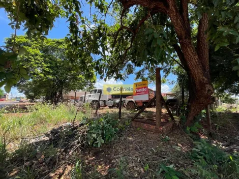 imagem 3 - GALPÃO À VENDA EM DOURADOS/MS imagem 3 - GALPÃO À VENDA EM DOURADOS/MS