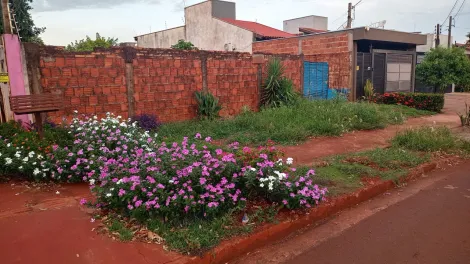 imagem 1 - Terreno - Padrão imagem 1 - Terreno - Padrão