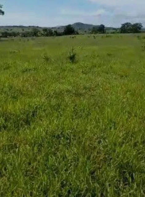 imagem 2 - Terreno - Padrão imagem 2 - Terreno - Padrão