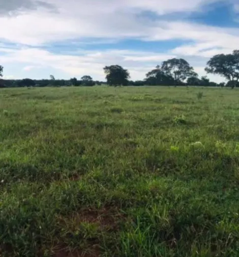 imagem 1 - Terreno - Padrão imagem 1 - Terreno - Padrão