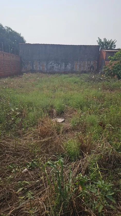 imagem 2 - Terreno - Padrão imagem 2 - Terreno - Padrão