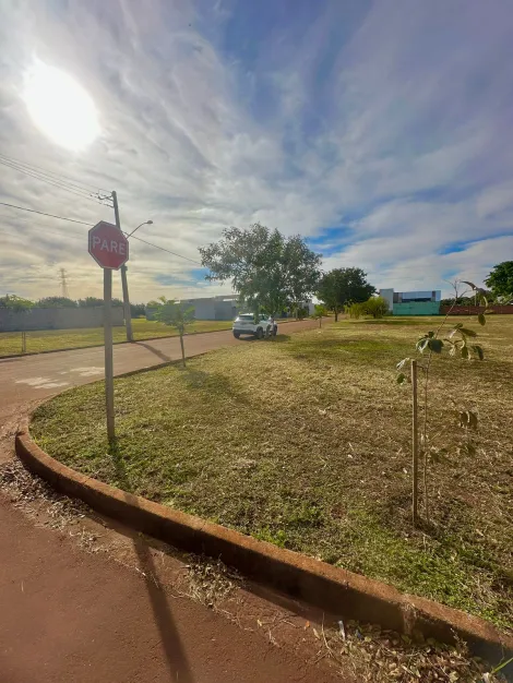 imagem 3 - TERRENO À VENDA EM DOURADOS/MS imagem 3 - TERRENO À VENDA EM DOURADOS/MS