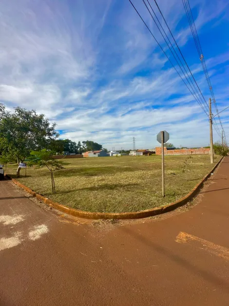 imagem 4 - TERRENO À VENDA EM DOURADOS/MS imagem 4 - TERRENO À VENDA EM DOURADOS/MS