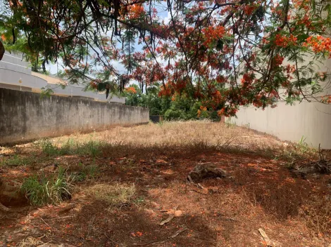 imagem 1 - TERRENO À VENDA EM DOURADOS/MS imagem 1 - TERRENO À VENDA EM DOURADOS/MS