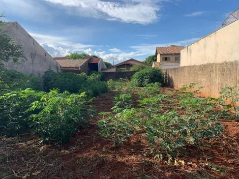 imagem 2 - TERRENO À VENDA EM DOURADOS/MS imagem 2 - TERRENO À VENDA EM DOURADOS/MS