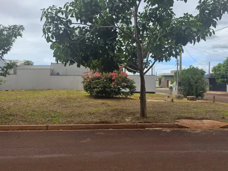 imagem 2 - TERRENO À VENDA EM DOURADOS/MS imagem 2 - TERRENO À VENDA EM DOURADOS/MS