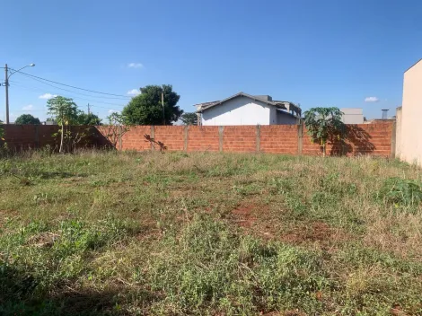 imagem 1 - TERRENO À VENDA EM DOURADOS/MS imagem 1 - TERRENO À VENDA EM DOURADOS/MS