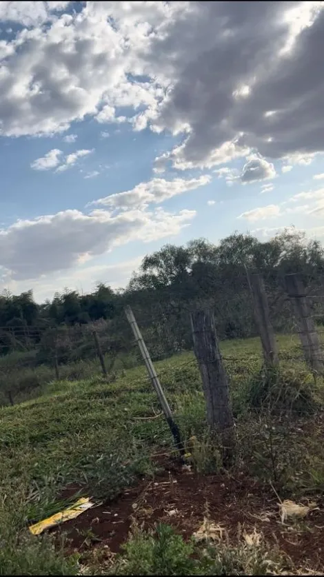 imagem 1 - TERRENO EM ÁREA RURAL À VENDA EM DOURADOS/MS imagem 1 - TERRENO EM ÁREA RURAL À VENDA EM DOURADOS/MS