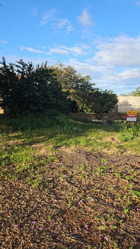 imagem 2 - TERRENO À VENDA EM DOURADOS/MS imagem 2 - TERRENO À VENDA EM DOURADOS/MS