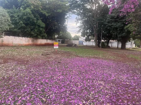 imagem 1 - TERRENO À VENDA EM DOURADOS/MS imagem 1 - TERRENO À VENDA EM DOURADOS/MS