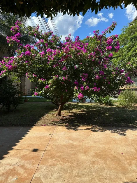 imagem 3 - CASA PARA ALUGAR EM DOURADOS/MS imagem 3 - CASA PARA ALUGAR EM DOURADOS/MS